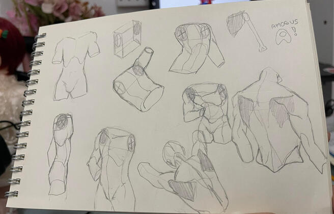 Anatomy Practice